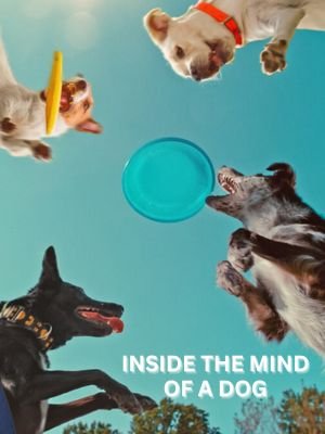 Inside the Mind of a Dog