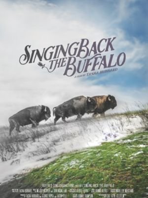 Singing Back The Buffalo