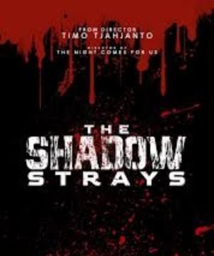 The Shadow Strays